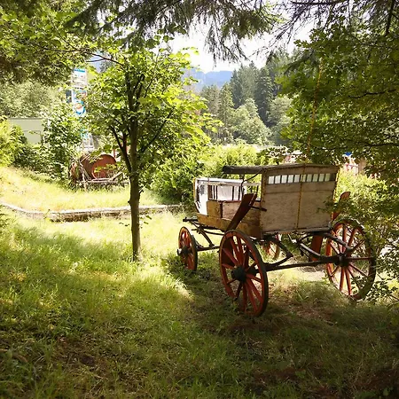 Cotul Donului Motel